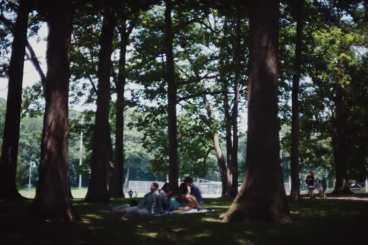 Friends have a picnic among the trees in a busy park