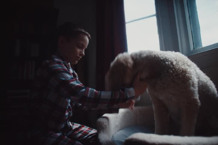 Boy interacting with a dog indoors