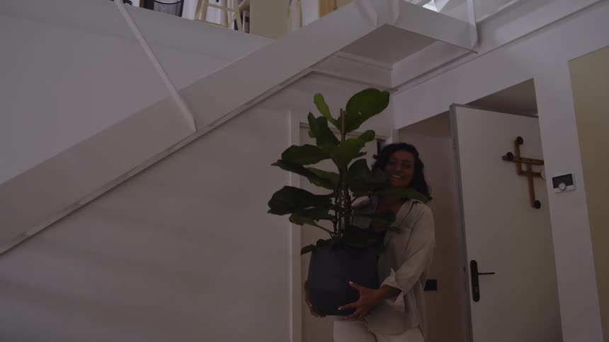 A woman in a white tank top carrying a box while another woman enters through an open door holding a large potted plant suggesting they are in the process of moving into a new space