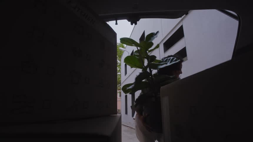 A woman unloads a large potted plant out of the trunk of a car