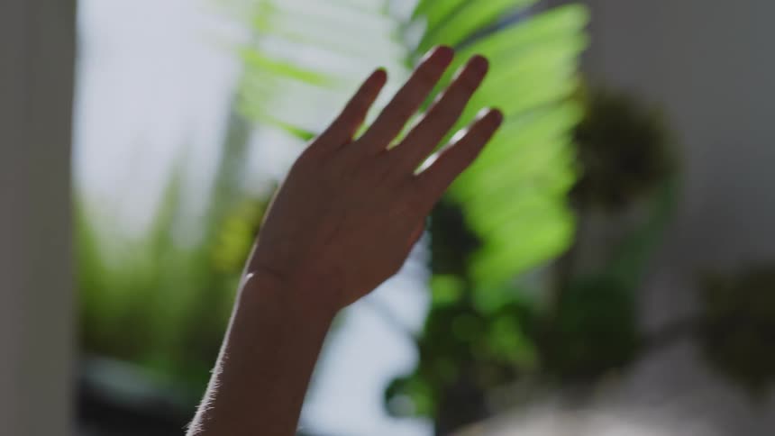 Close up of a womans hand raised upwards