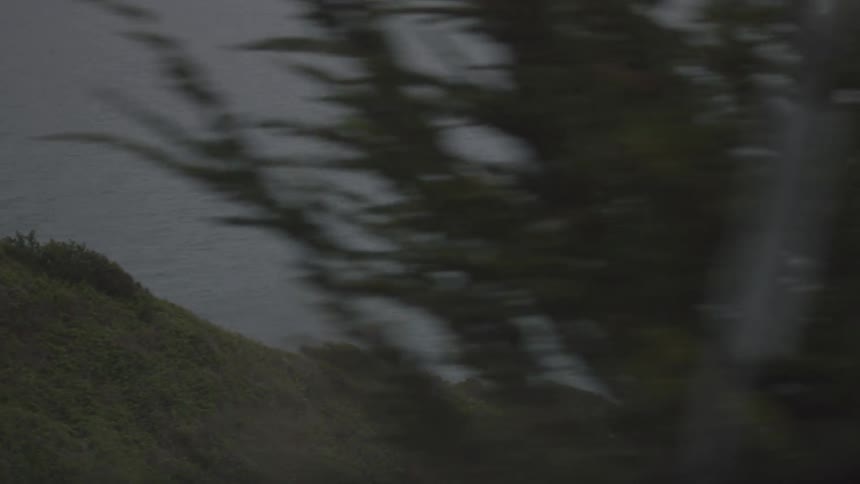 A vehicle travels in a forested area