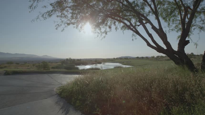 The sun beats down on a pond in an open field during the day