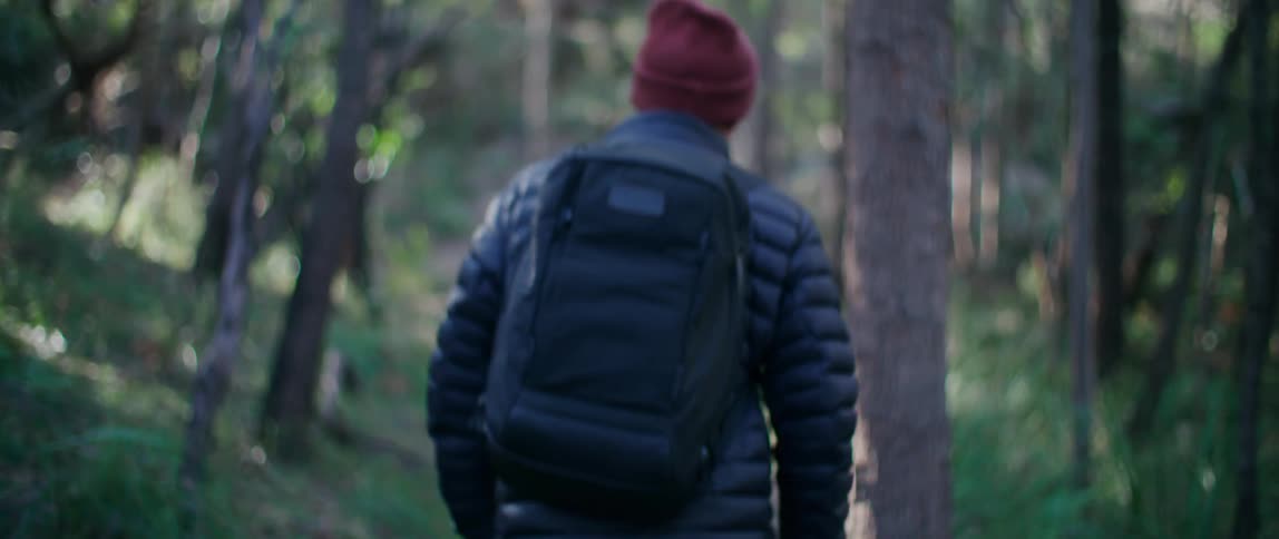 Man walking in the forest