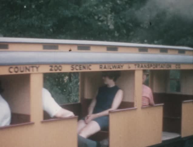 A clip of a smoky train moving on a rail