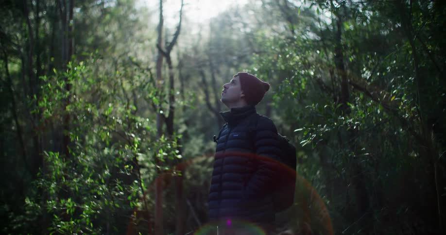 Man looking up while standing in a forest