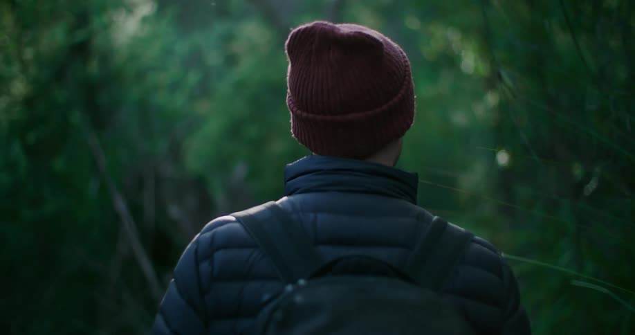 A backpacker walking through a forest path