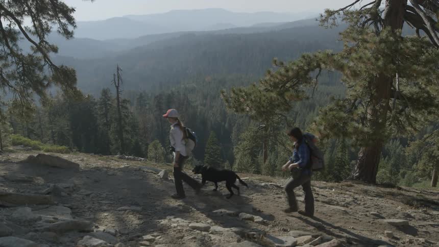 People hiking  an up high trail with their dog