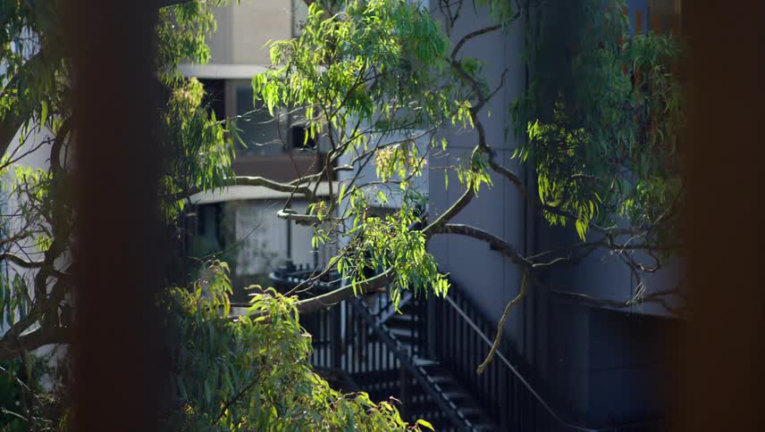 A person walks down flights of stairs outside of their apartment