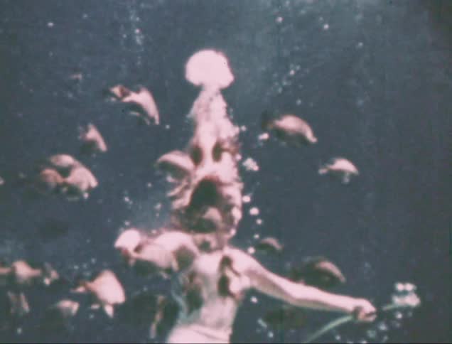 Woman submerged in the ocean with fish around her