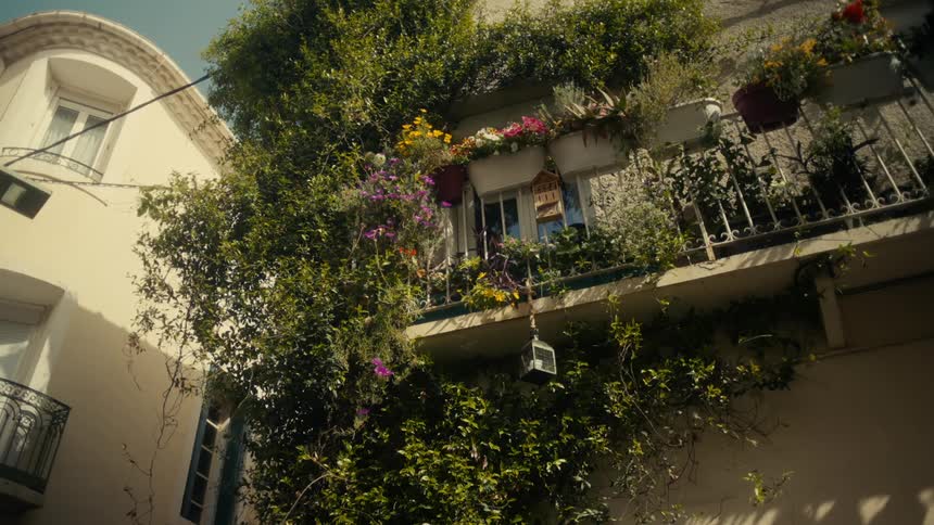 A colorful floral balcony overflows with lush greenery over a building facade