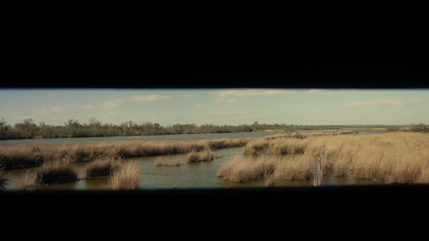 Landscape of a lake with reeds and trees in the background