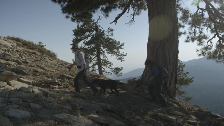 People and a dog hike up a rocky trail