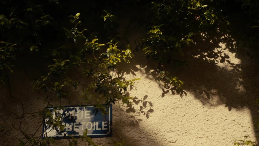 Wall with a plaque and leaves of a tree