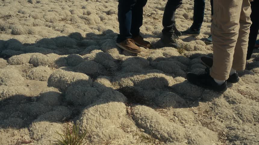 Legs of people standing above a stone floor