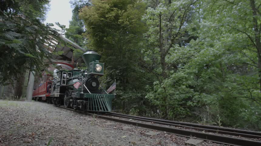 An old-fashioned miniature train carries people through a forest