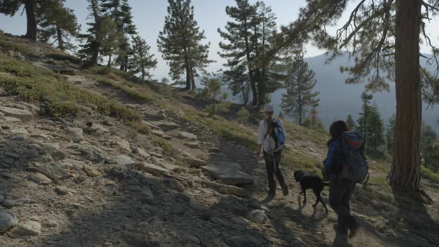 Two women and a dog are hiking up a slope during the day