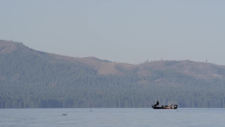 A person is steering a boat in the water ahead