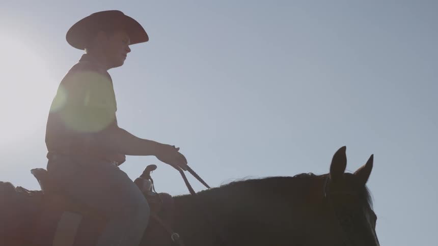 Cowboy riding a horse on a clear day