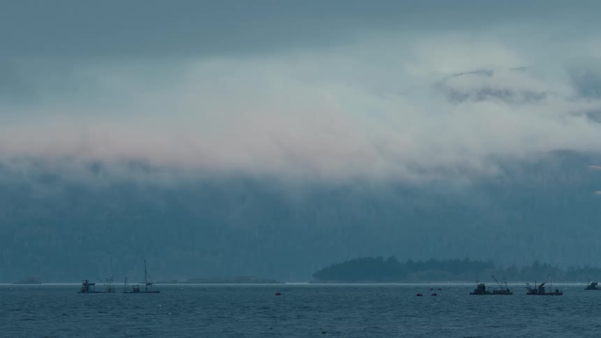 Multiple fishing boats float offshore on a foggy day under a cloudy sky
