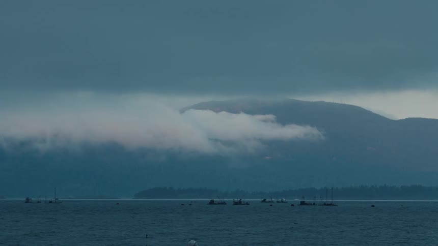 A thick layer of fog hangs low over the water obscuring the distant mountains and a line of boats