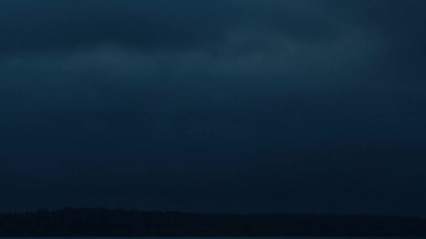 A dark cloudy sky looms over a silhouetted treeline