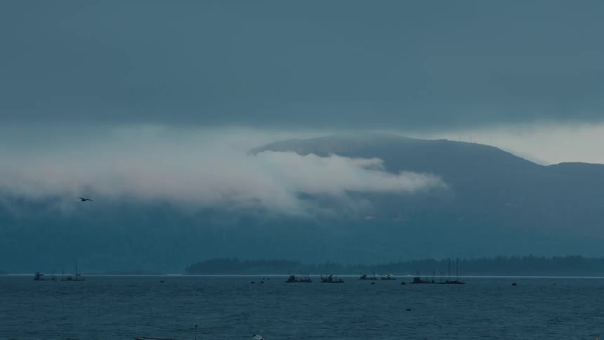 A thick layer of fog hangs low over the water obscuring the distant mountains and a line of boats