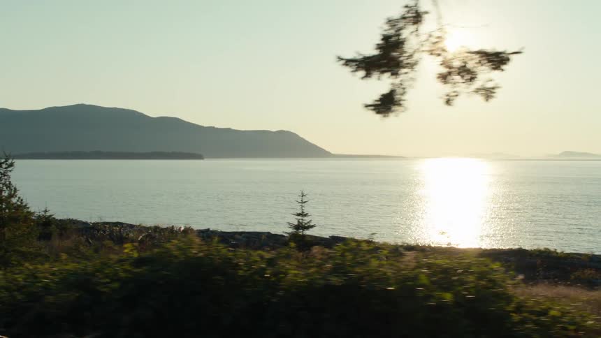 The sun is reflecting off the lake water