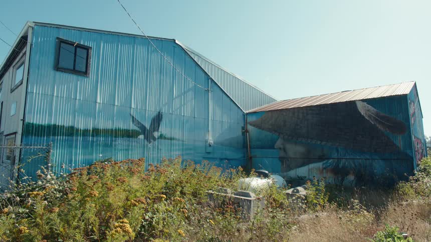 A house with a mural of a flying eagle on the side in a rural area