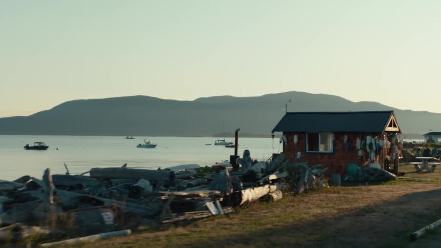 Boats are docked in the water by a small shack