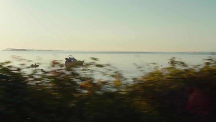 A small boat floats on a calm body of water surrounded by a hazy morning mist while thick vegetation obscures the view from the foreground