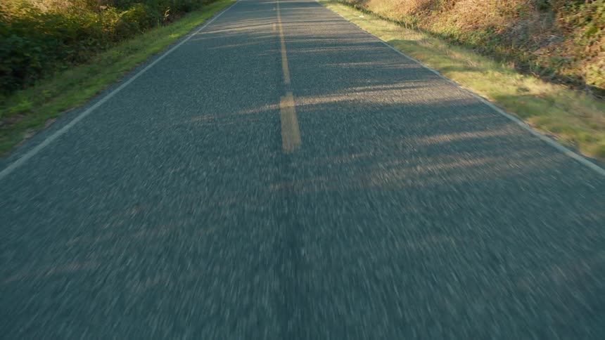 A paved road stretches into the distance lined with trees and bushes the sun casts long shadows across the road