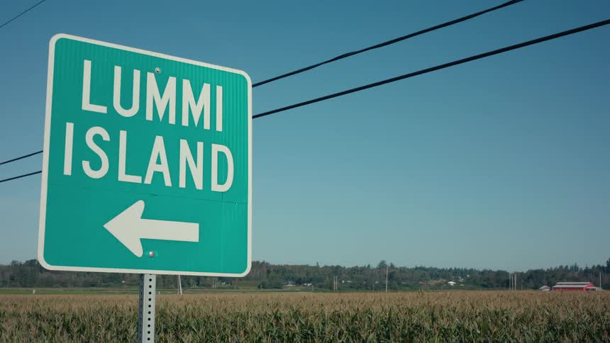 A green road sign with a white arrow pointing left reads lummi island the sign is mounted on a pole beside a field of tall corn stalks