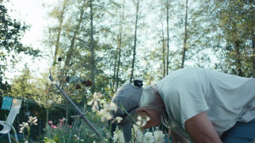 An elderly woman wearing gloves tends to a garden