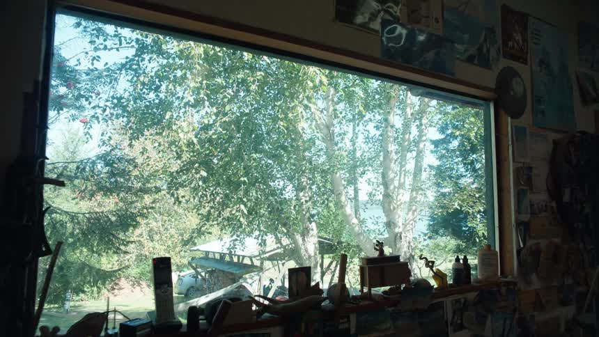 An interior with a wall full of photos and a glass window with a view to the outside with some trees with green leaves