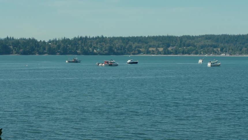 A large lake with boats in it