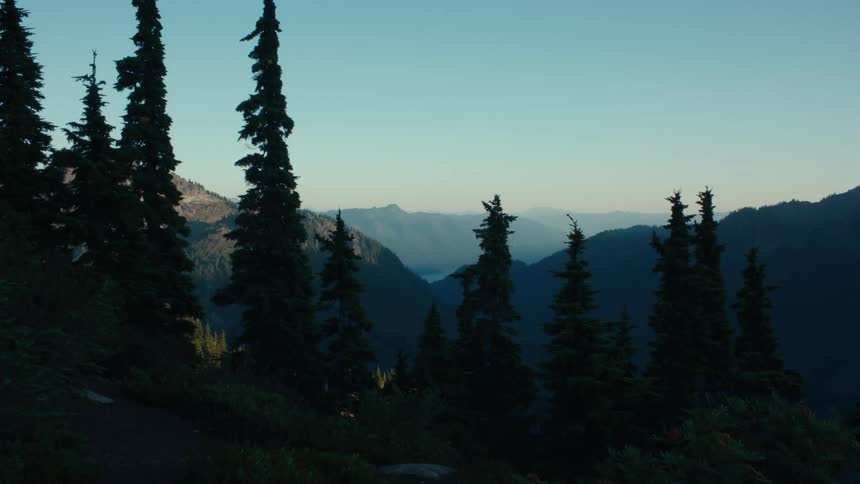 A hand points towards a distant valley framed by tall dark trees silhouetted against a clear blue sky
