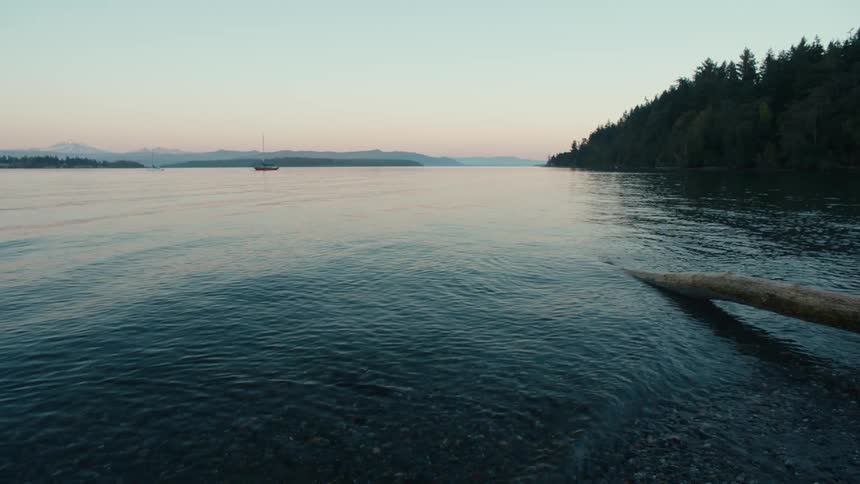 Waves from the lake cover the log