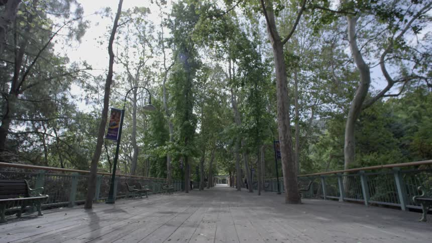 Paved path with railing on both sides through a parklike area