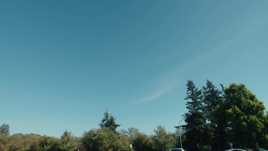 A clip of a busy area with various cars and bicycle