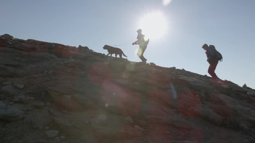 A person and a dog walking up a mountain