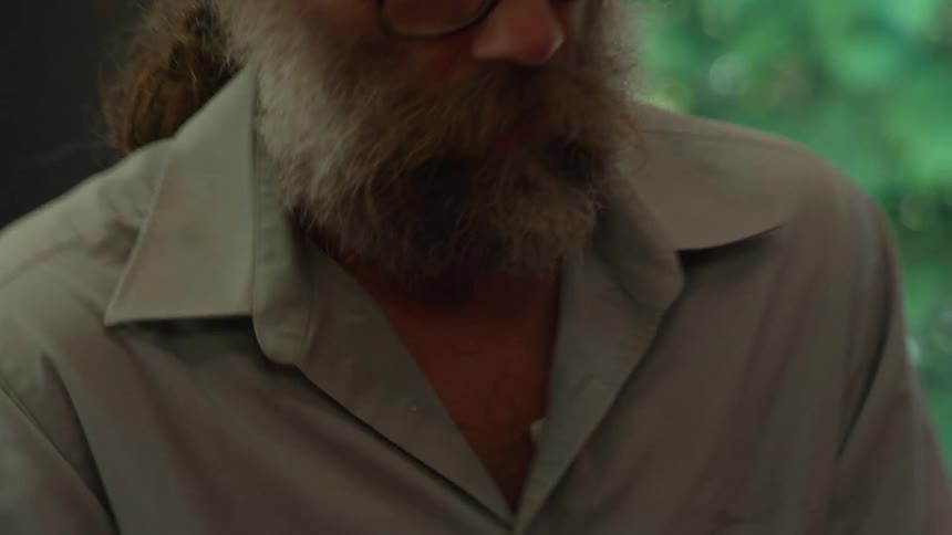 Portrait of a man with a beard and glasses working