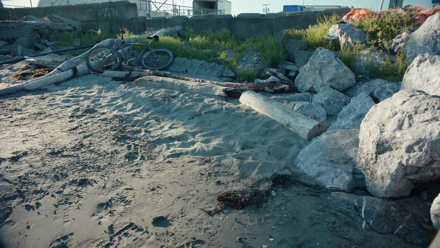 A bicycle leaning against some logs thrown on the sand of a fine sand beach with some white stones