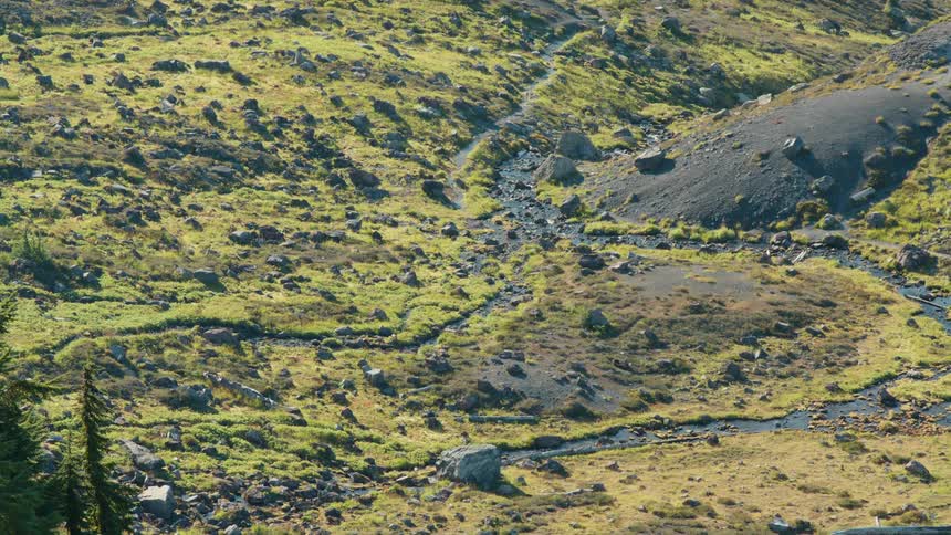 A winding trail weaves through a rugged landscape dotted with rocks and patches of vibrant green vegetation following the course of a meandering stream