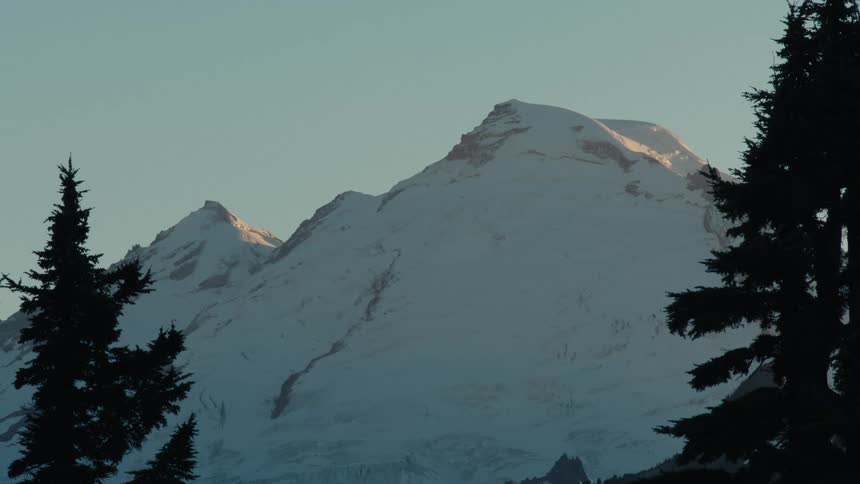 The snowcapped mountain peaks stand tall and majestic against the soft glow of the morning sky silhouetted by the dark evergreens in the foreground