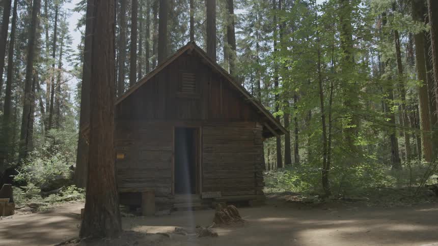 A log cabin with an open door in a forest