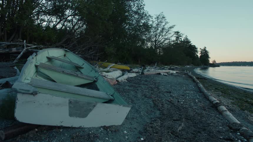 Wooden boat anchored on land by the edge of a lake
