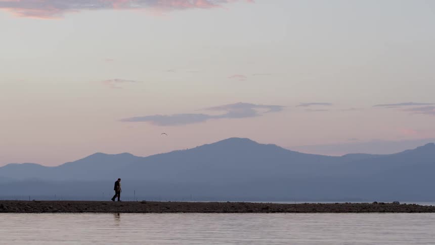 Two people walk along the shoreline