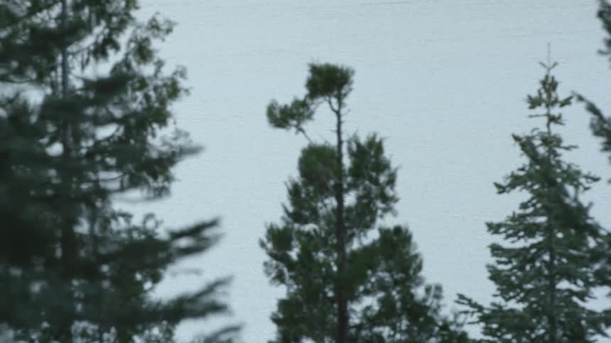 Two birds fly just above the water