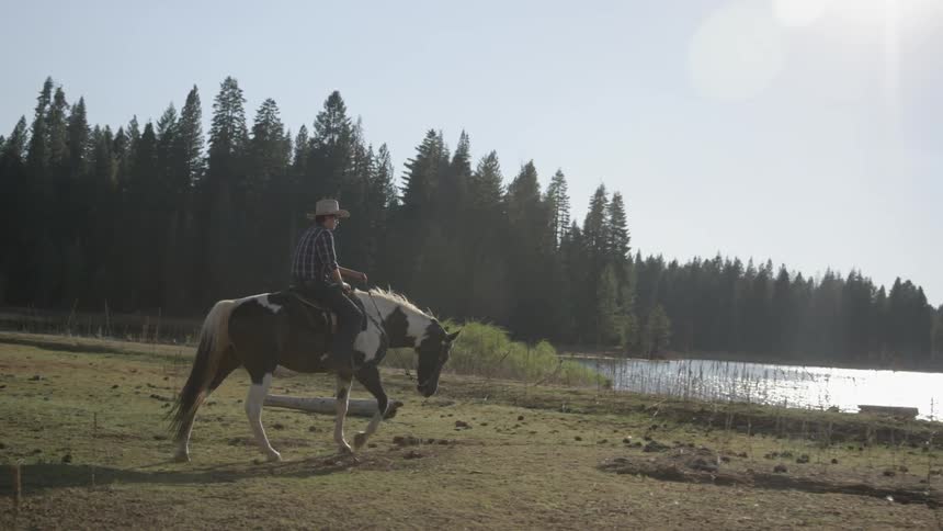 Man rides a horse towards water on a sunny day